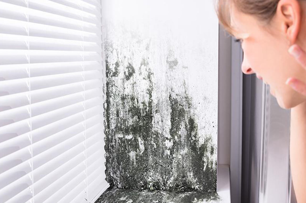 Top 6 Causes of Mold in Your Home