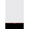 Viessmann Vitodens 200-W boiler