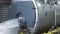 Vitomax HS steam boiler